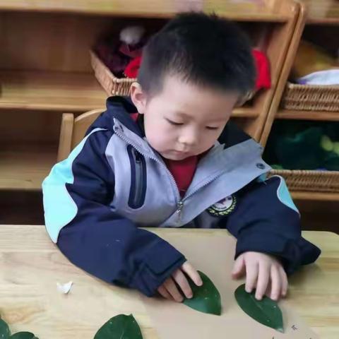 郑州市惠济区田园幼儿园小一班2024年4月美工美篇