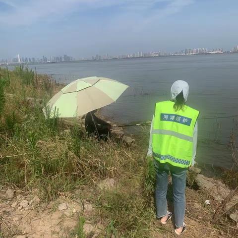 红钢城街道公共管理办2023年7月17日工作情况