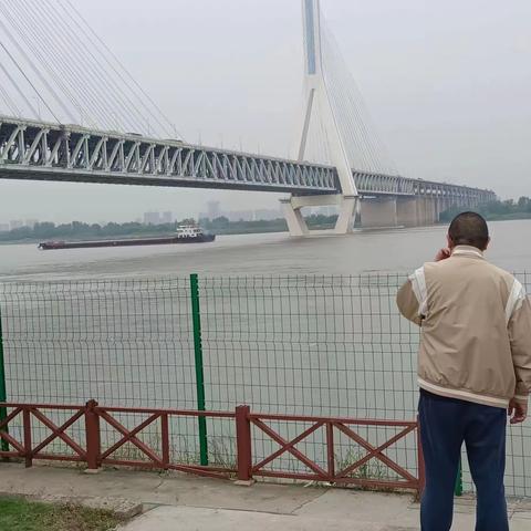 红钢城街道公共管理办2023年10月10日工作情况