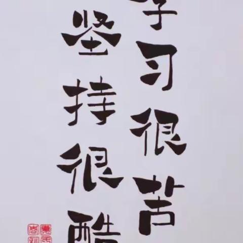 唐县实验中学2021级1班第七组作业展示