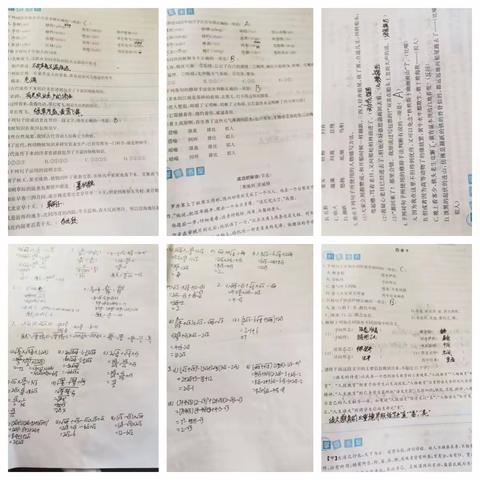 唐县实验中学2021级1班第七组作业展示