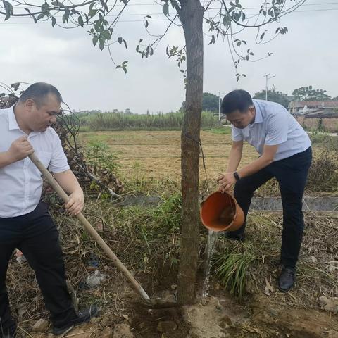 同植幸福树  共建绿美家 — —洋青群众争做生态文明建设“先锋者”、文明新风尚“践行者”