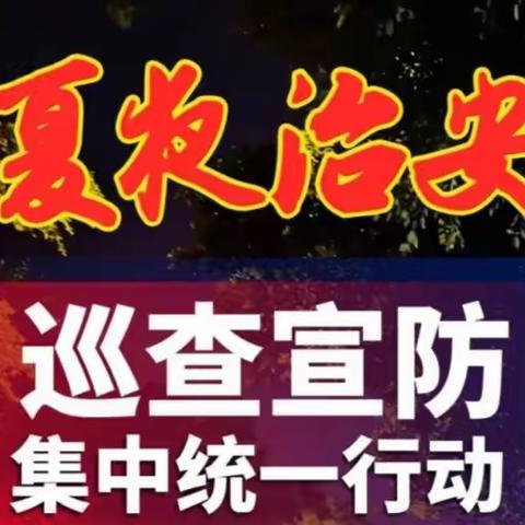 高新区公安分局巡警大队组织辖区综合警务服务站深入开展夏季治安巡查宣防集中统一行动