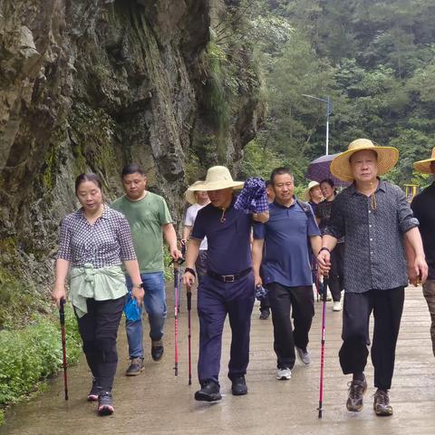 感谢老板为金家岙打造旅游景区