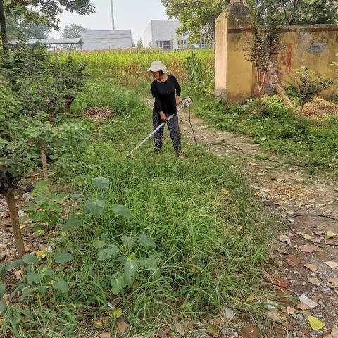 清扫清洁坚持做 靓丽环境真不错