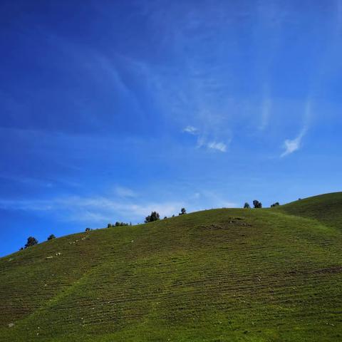 呼伦贝尔草原之行