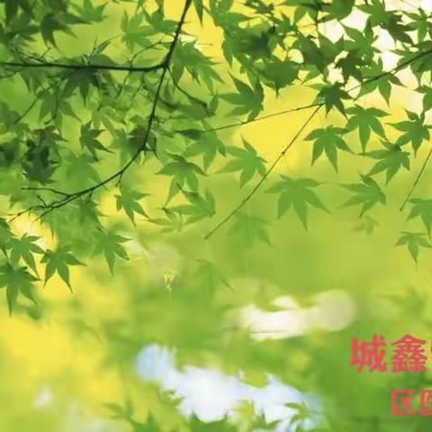 不惧酷暑  服务至上——城鑫物业公司区医院项目部