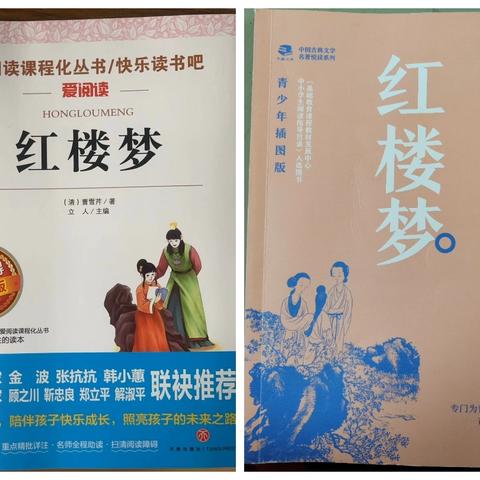 描绘封建社会的画卷，领略古代文化的魅力。——【能仁小学•七彩鸟中队•寒假共读活动】