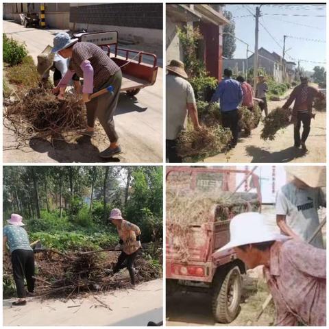 莱芜区寨里镇人居环境整治工作持续推进