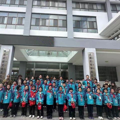 走进生物标本馆，探秘自然科学 ——林芝市第一小学组织学生参观农牧学院标本馆