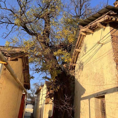 “点滴记录，构建美好生活”——建设银行寺河支行“美好生活”摄影活动