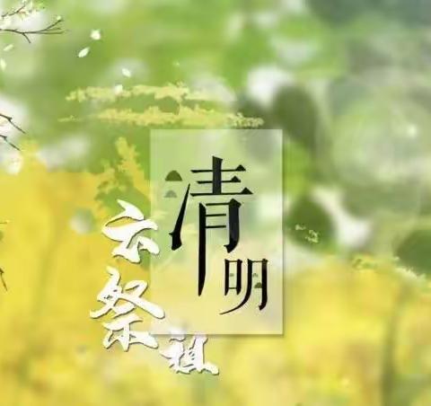 清明节系列活动——安新县赵北口学校2024年清明节祭扫活动