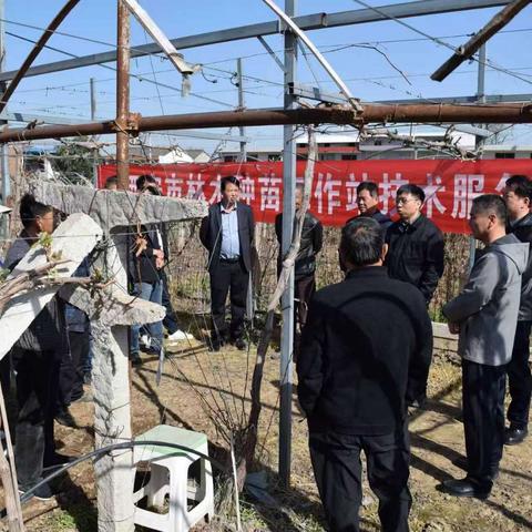 田间送技暖民心 精准帮扶助发展 --西安市林木种苗工作站赴柿园村开展送技术下乡活动