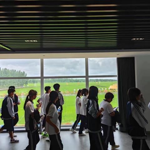 ｜“双学双非遗”｜高一五班研学实践活动