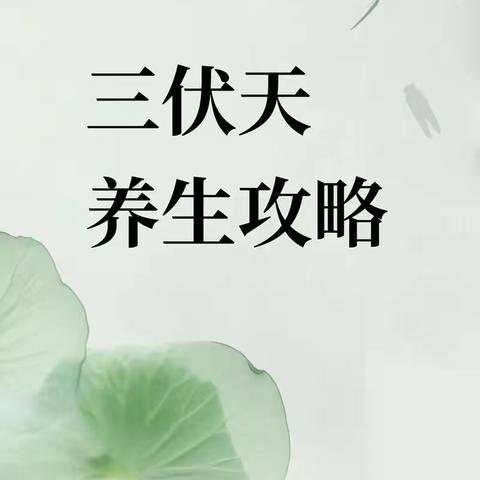 夏养三伏天小贴士，请收好～