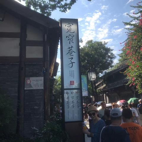 四川之行2——大熊猫基地、宽窄巷、春熙路、武侯祠、锦里。