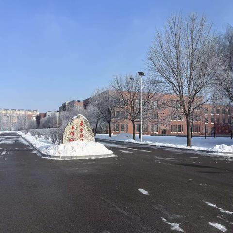 9.4雪地里的我们