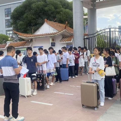 橙樹的简篇