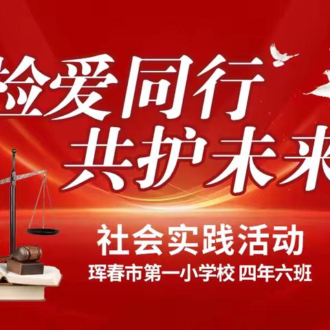 检爱同行 共护未来 社会实践活动