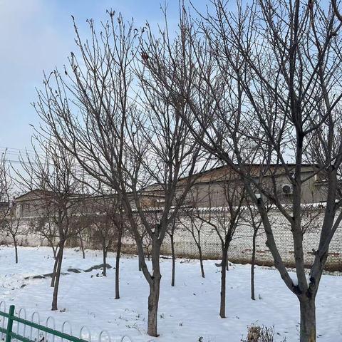 瑞雪满校园，除雪暖心田——南市小学少先队员除雪记