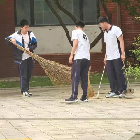 劳动砺心志，实践促成长
