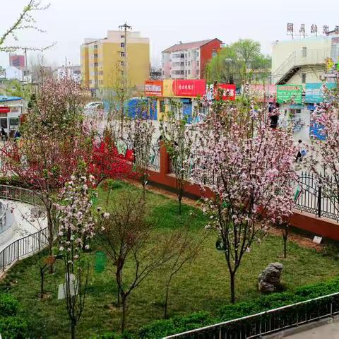 2025期待你的精彩——林州市第四小学五年级春季开学收心指南