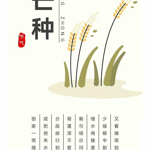 “芒种南风扬，蝉鸣夏始忙”——胡杨河市第一幼儿园芒种之行（中班组）