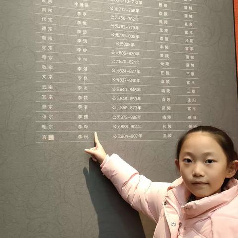 陕西历史博物馆一日游