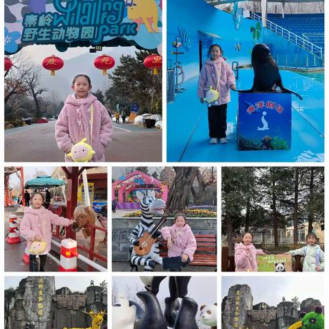 秦岭野生动物园一日游