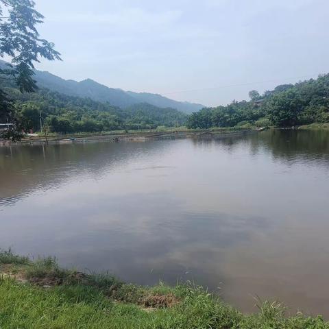 天青色等烟雨，我的鱼儿在等你。石龙竹云寺鱼多多钓场开放了，快来免费钓鱼吧