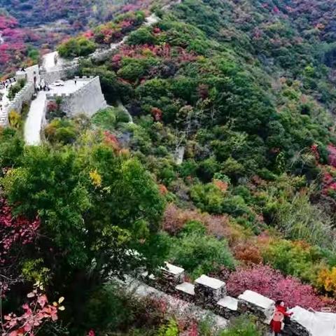 （10月19号周六)秋游巩义浮戏山岭沟寨～小长城～逍遥谷～小龙池赏红叶