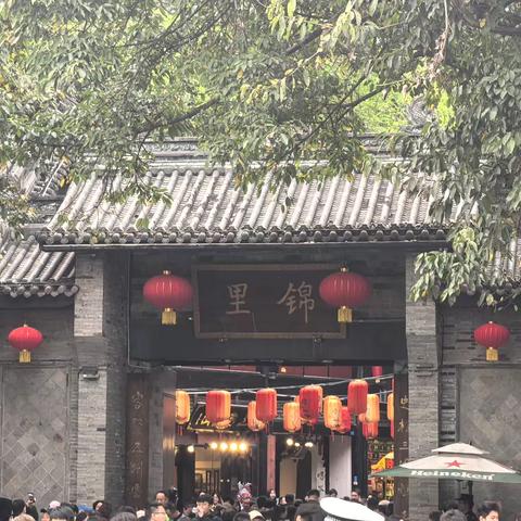 成都，我来了