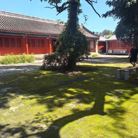 燕京八绝博物馆（二）