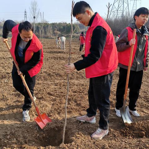 义务植树添新绿 不负春日好时光  ———芝田镇退役军人服务站组织开展义务植树活动