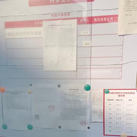 【村社赛拼】塘雅镇12月份红黄旗赛拼结果出炉