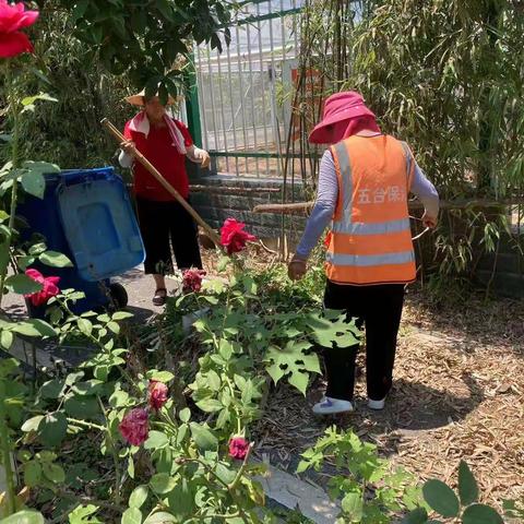 五台街道强化“三个转变”，持续推进“全域提升、百村示范”行动