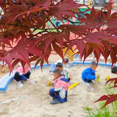 六盘水市水城区第十一幼儿园大二班第十周小结