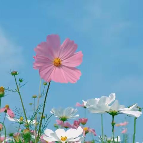 第二次课 课后反馈