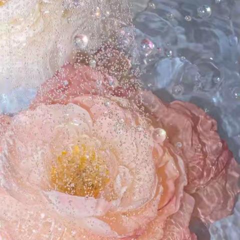 第三次课 课后反馈