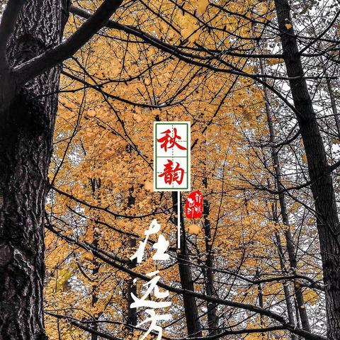 秋韵--丰收的喜悦