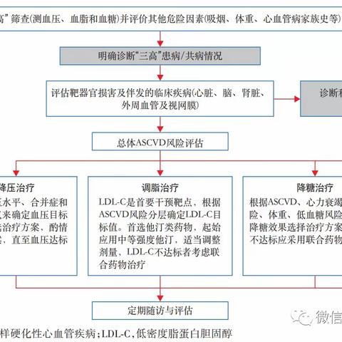 三高如何管理——交给南石全科