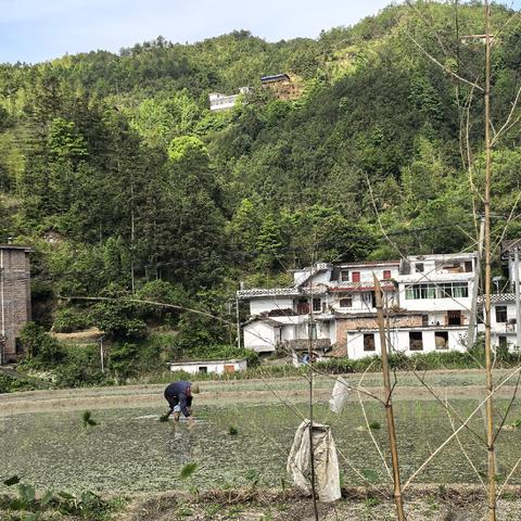 下坪村新时代文明实践站开展“为民办实事”活动
