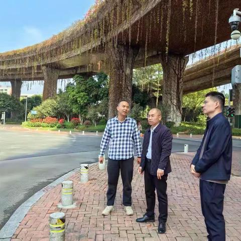 区应急局同区建设局开展城区排水防涝检查