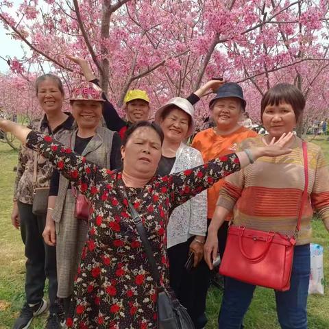 老闺蜜回忆录                              2023年三八妇女节-青秀山