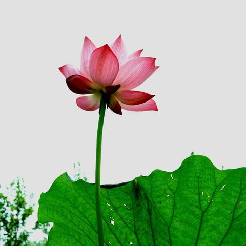 美友64941821的简篇（副本）