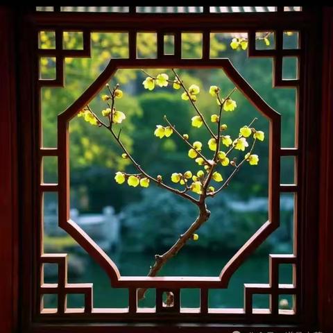 窗外的宁静与和谐