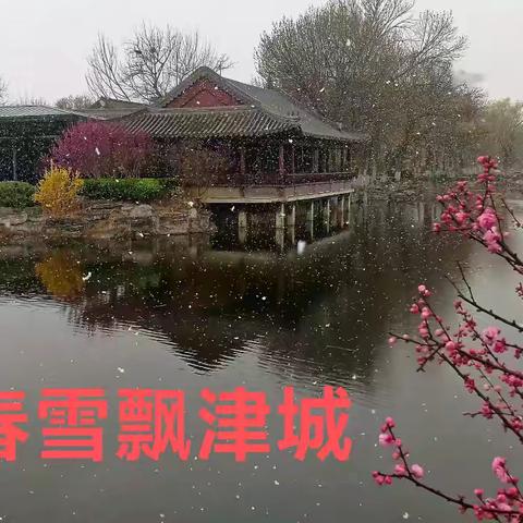 三月春雪降津城