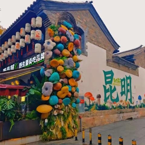 春光明媚游昆明