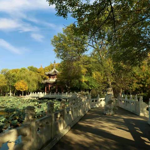 天津北宁公园：百年皇家园林的历史与景致