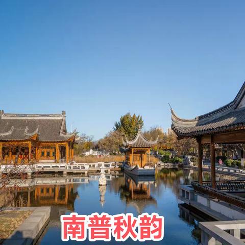 天津南普公园：闹市中的江南园林